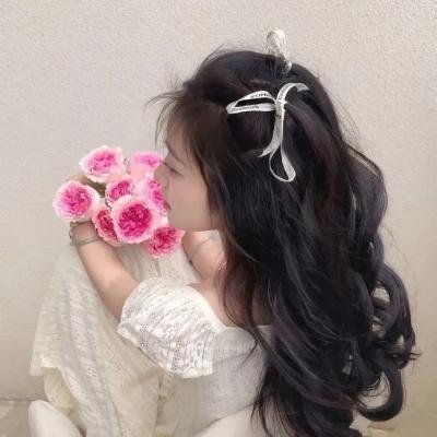 首席女部长